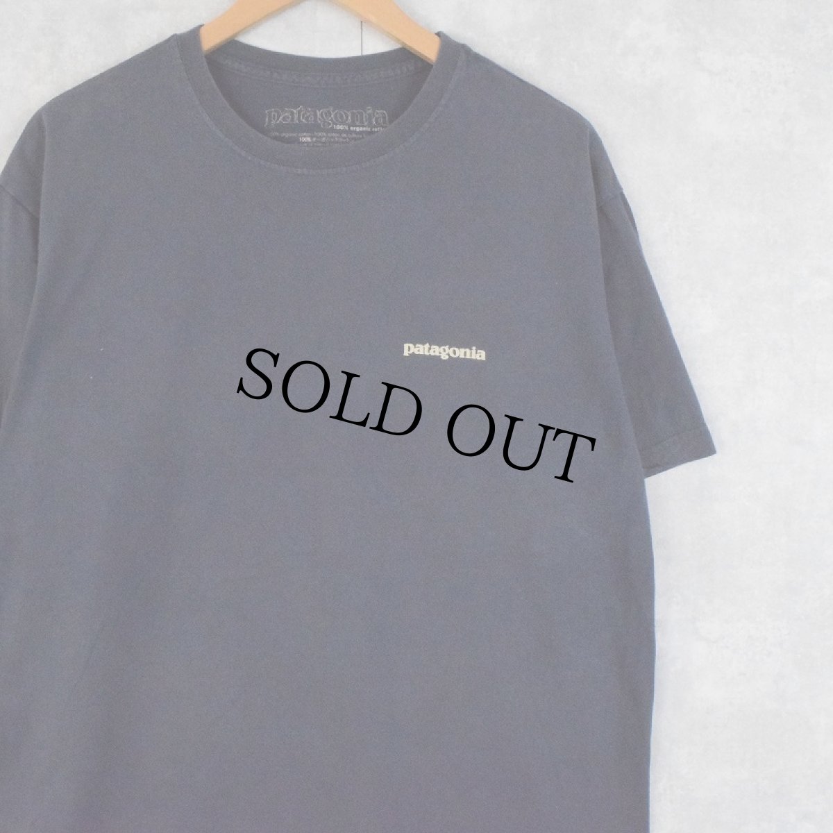 画像2: 2000's Patagonia USA製 浮世絵プリントTシャツ L (2)