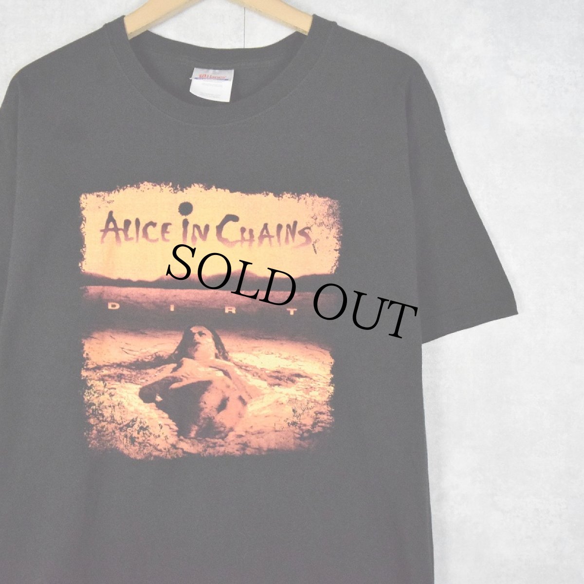 画像1: Alice in Chains "DIRT" ロックバンドTシャツ L (1)