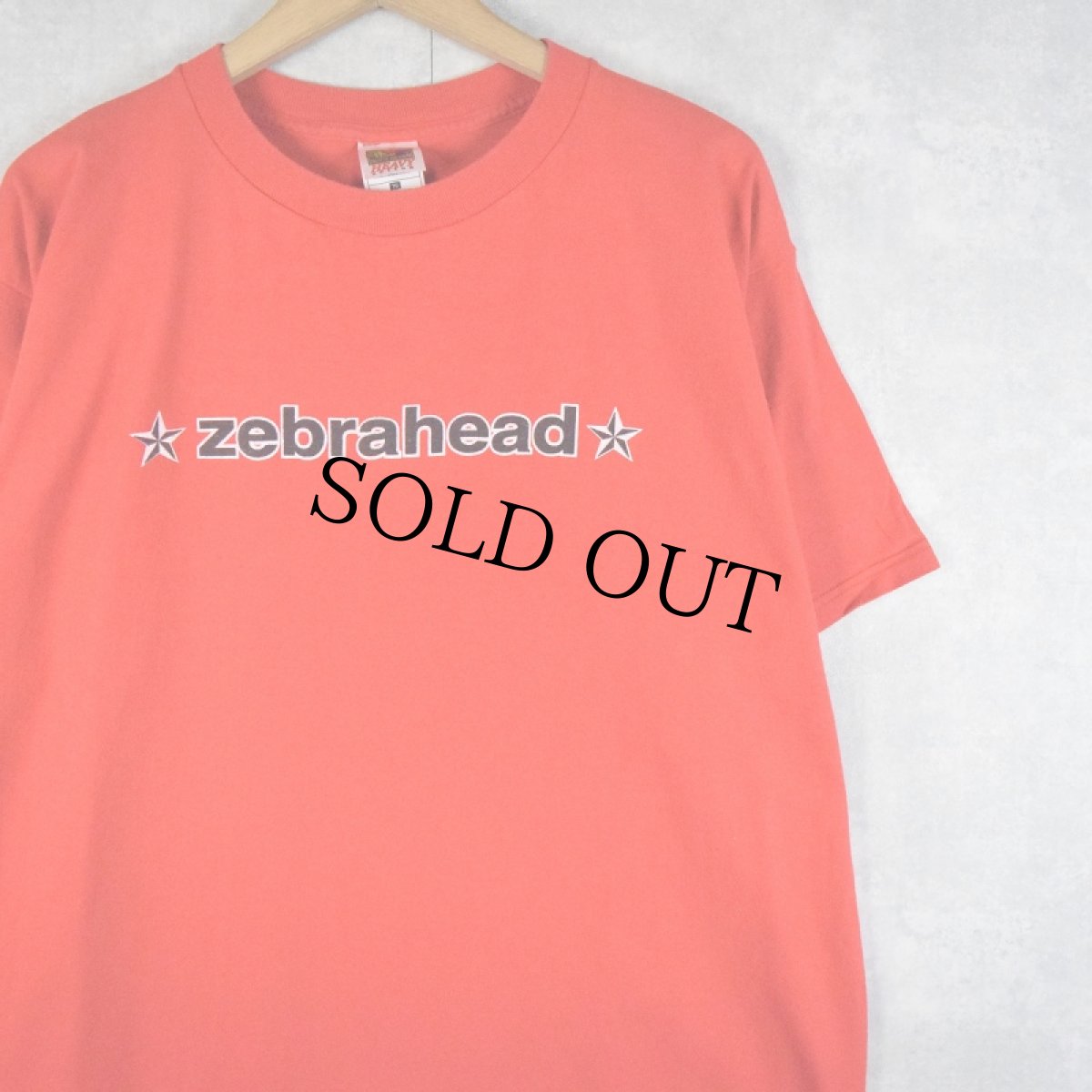 画像1: 2000's zebrahead ロックバンドTシャツ XL (1)