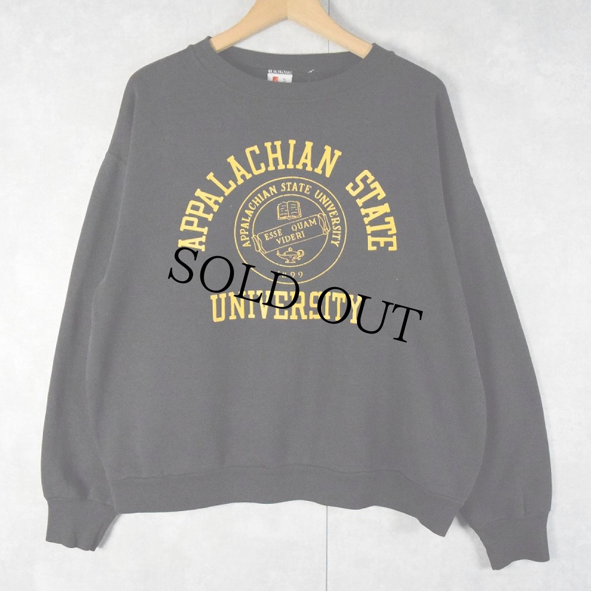 画像1: 90's USA製 "APPALACHIAN STATE UNIVERSITY" カレッジプリントスウェット BLACK XL (1)