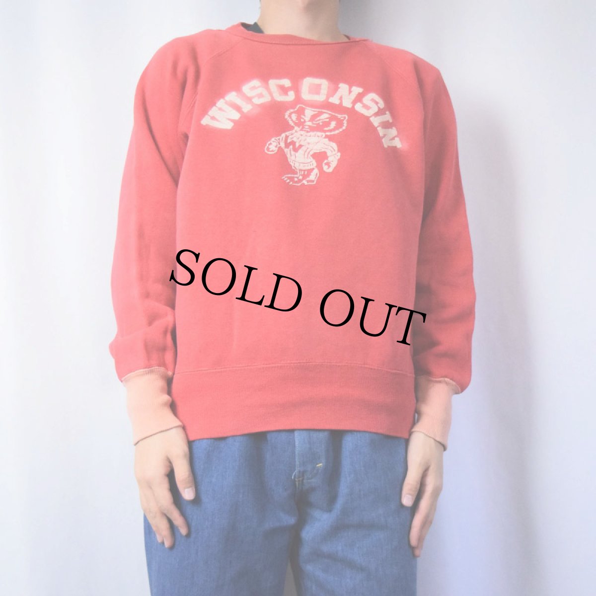 画像2: 50's WISCONSIN フロッキープリント 2トーンスウェット (2)