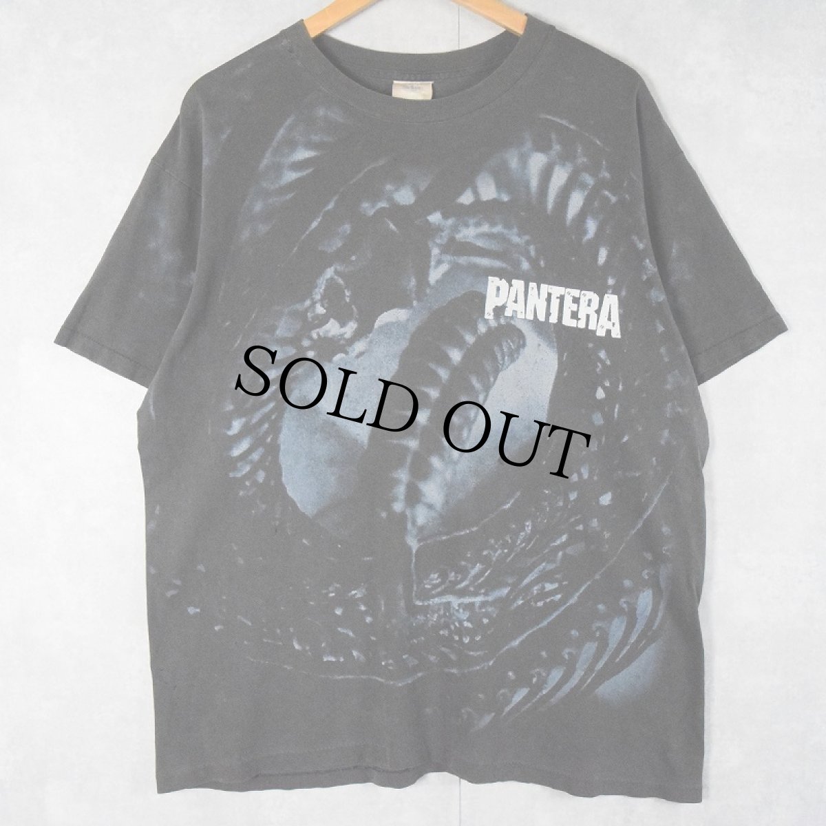 画像1: 90's PANTERA USA製 ヘヴィメタルバンド 大判プリントTシャツ BLACK XL (1)