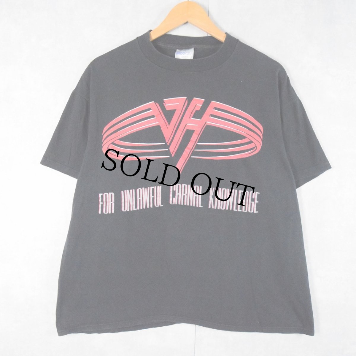 画像1: 90's VAN HALEN USA製 ハードロックバンドTシャツ BLACK XL (1)