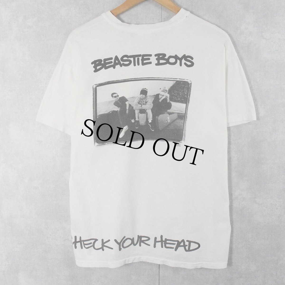 画像1: 90's BEASTIE BOYS "Check Your Head　Brooklyn Dust Music" ヒップホップTシャツ L (1)