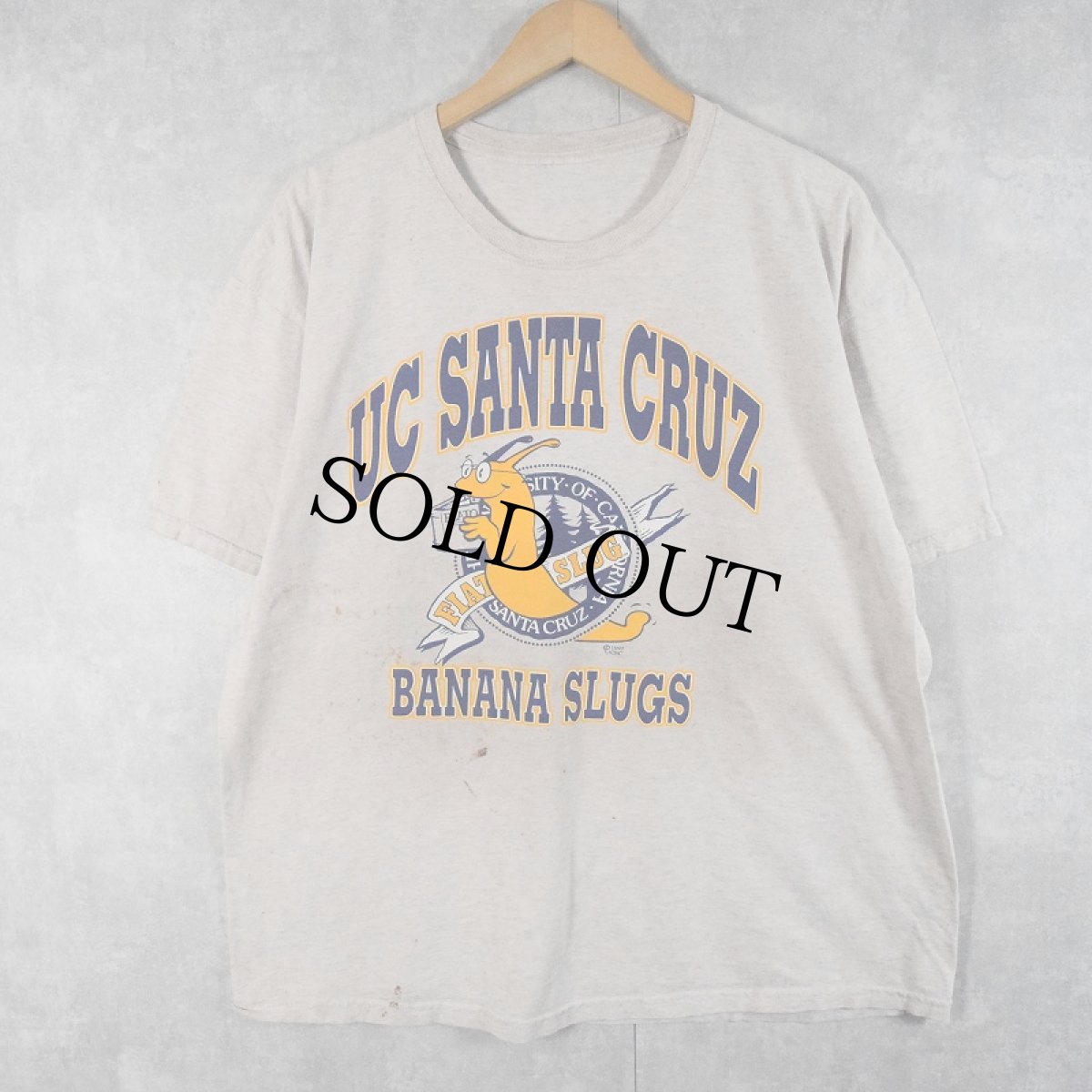 画像1: 2000's "UC SANTA CRUZ" プリントTシャツ  (1)