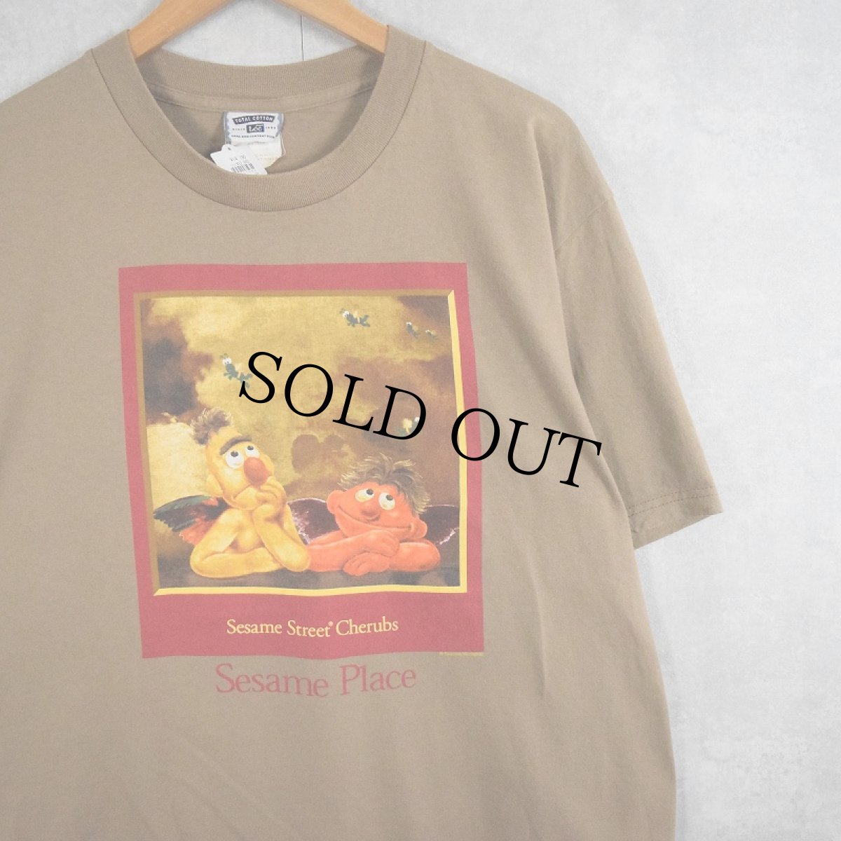 画像1: SESAME STREET バート&アニー "Sesame Place" パロディプリントTシャツ L (1)