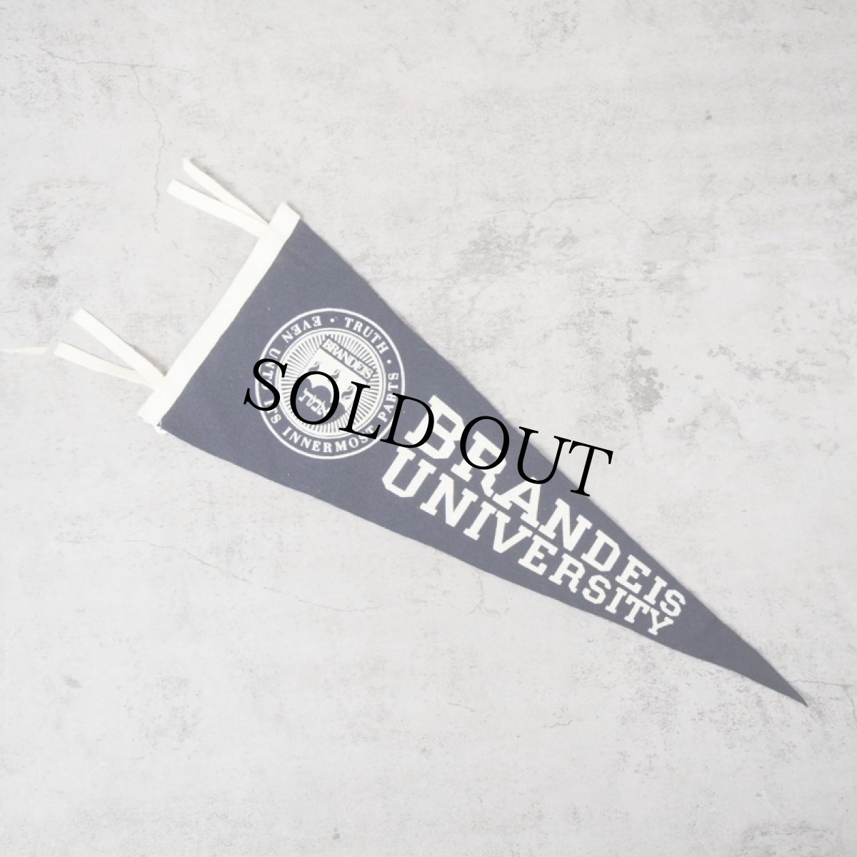 画像1: VINTAGE "BRANDEIS UNIVERSITY" フェルトバナー NAVY (1)