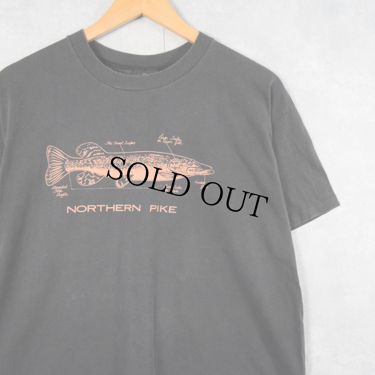 画像1: 90's USA製 "NORTHERN PIKE" 魚プリントTシャツ XL (1)