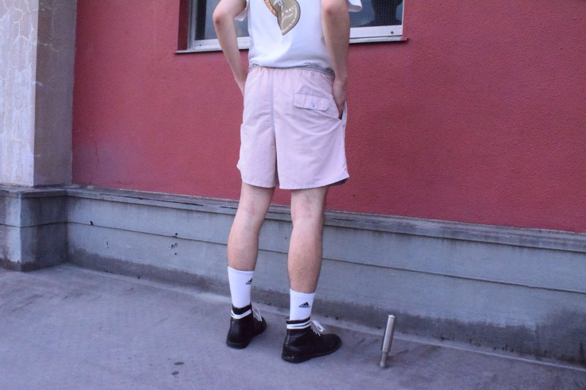 画像3: 【SALE】 2019SS Patagonia バギーズショーツ  L (3)