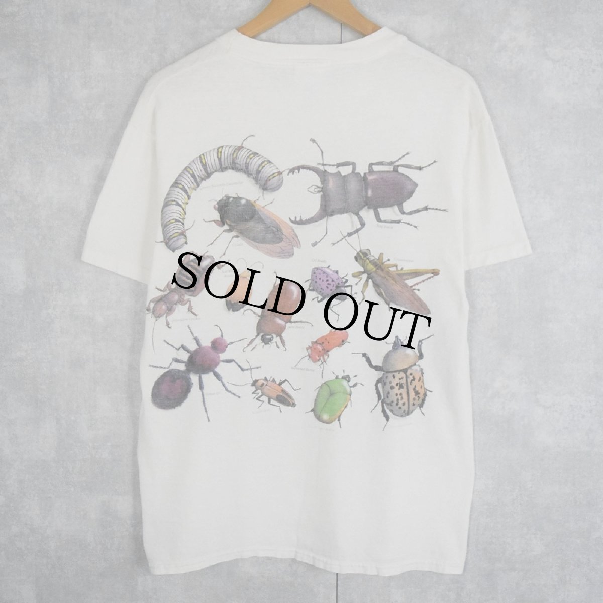 画像2: 90's Wild Cotton Jay Jausheski "Insect" 昆虫プリントTシャツ M (2)