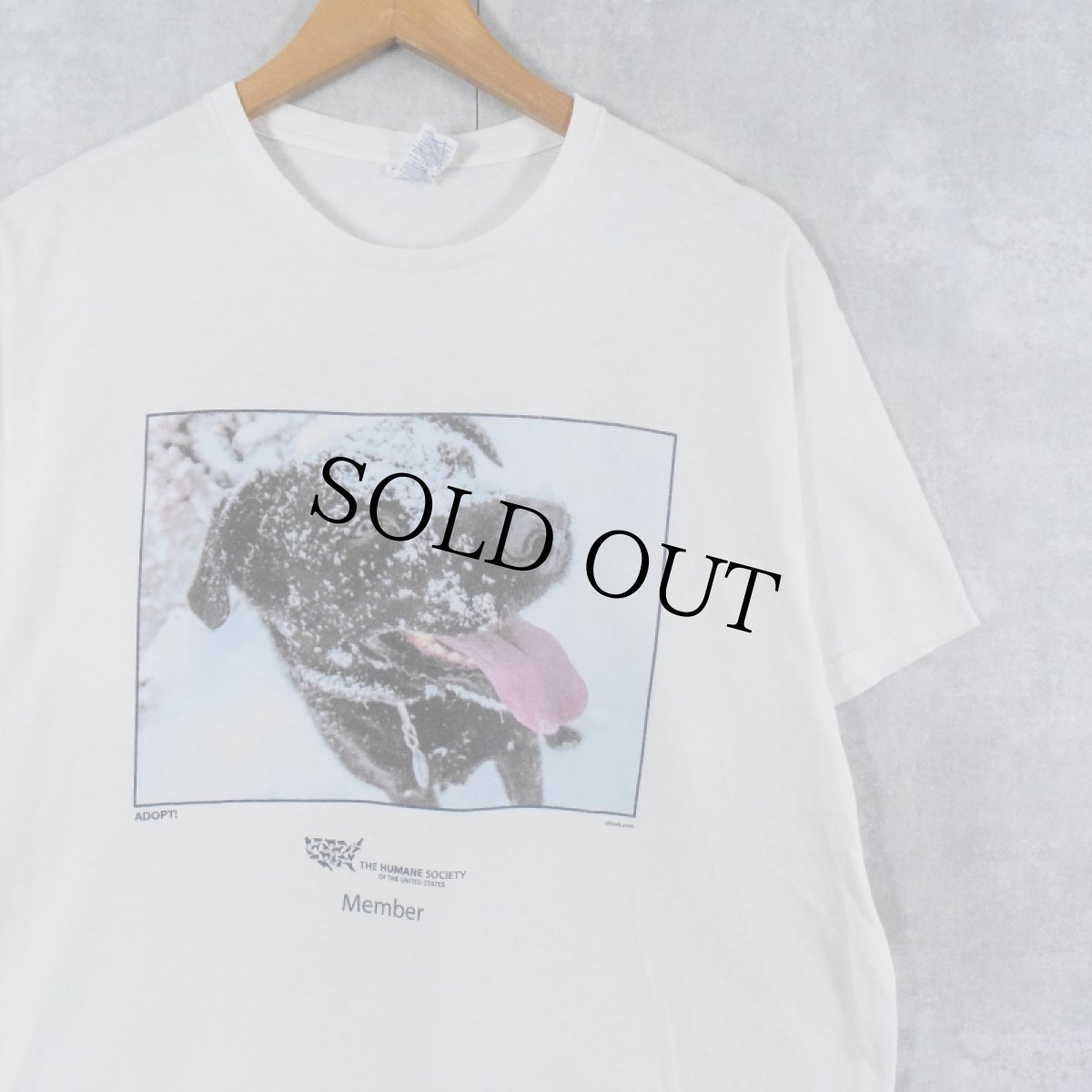 画像1: THE HUMANE SOCIETY 非営利団体 犬プリントTシャツ L (1)
