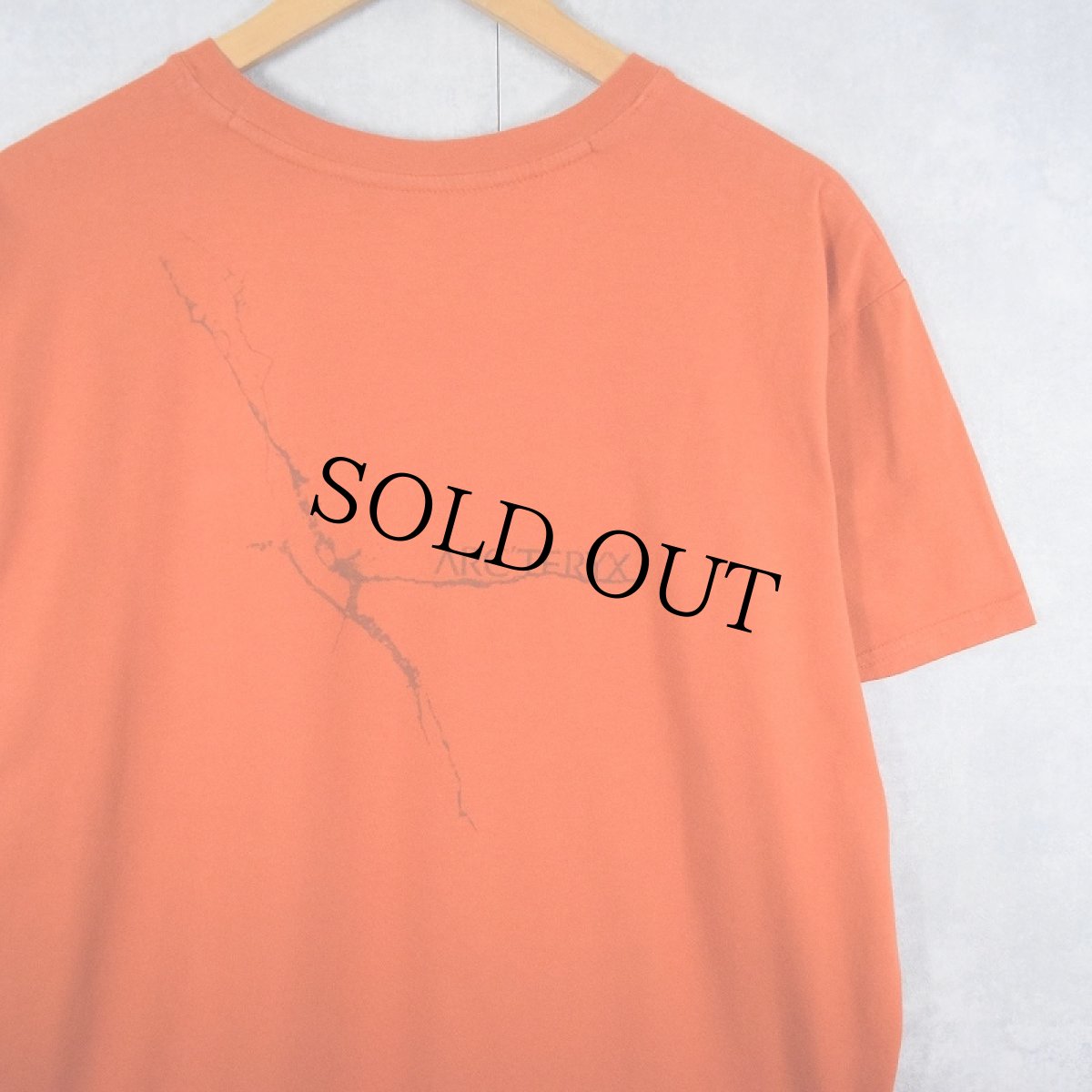 画像2: ARC'TERYX ロゴプリントTシャツ XL (2)