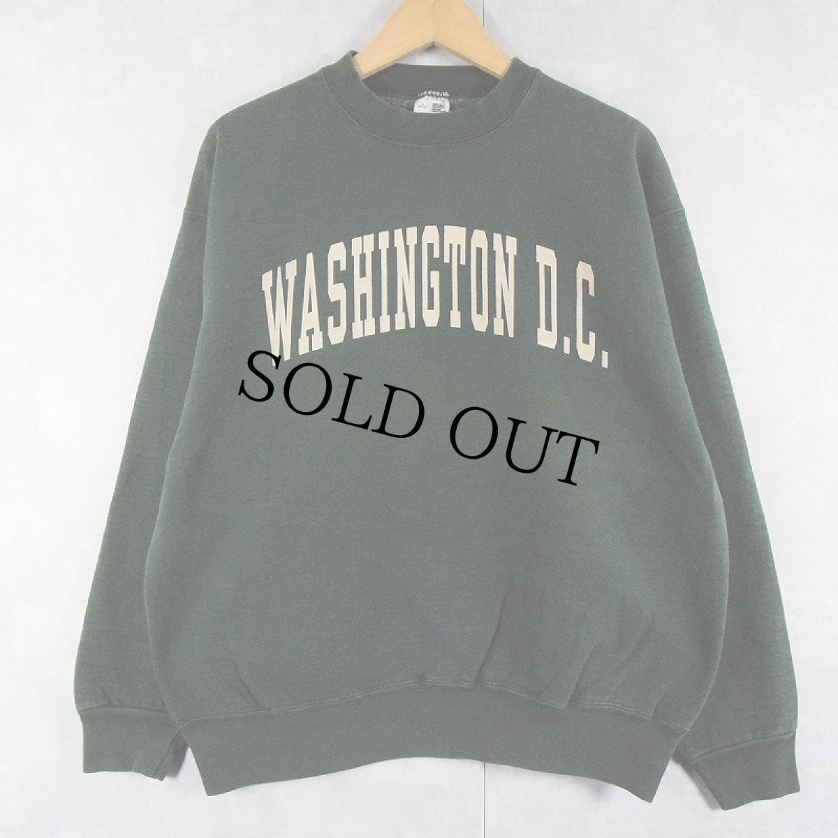 画像1: 90's FRUIT OF THE LOOM USA製 "WASHINGTON D.C." プリントスウェット L (1)