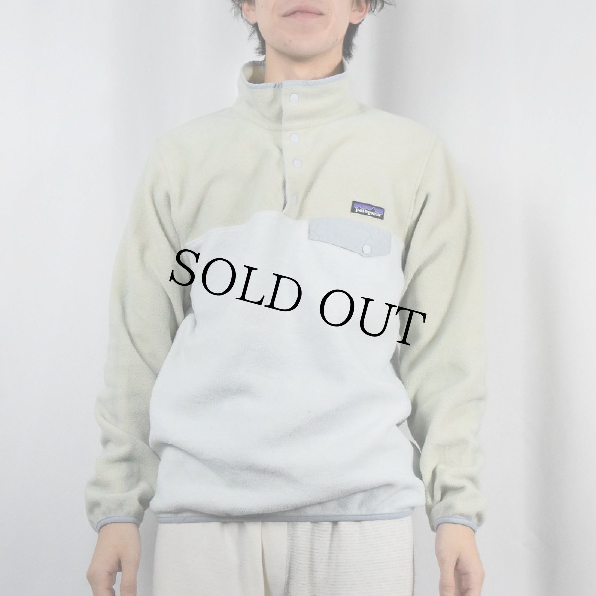 画像2: 2015AW Patagonia スナップT M (2)