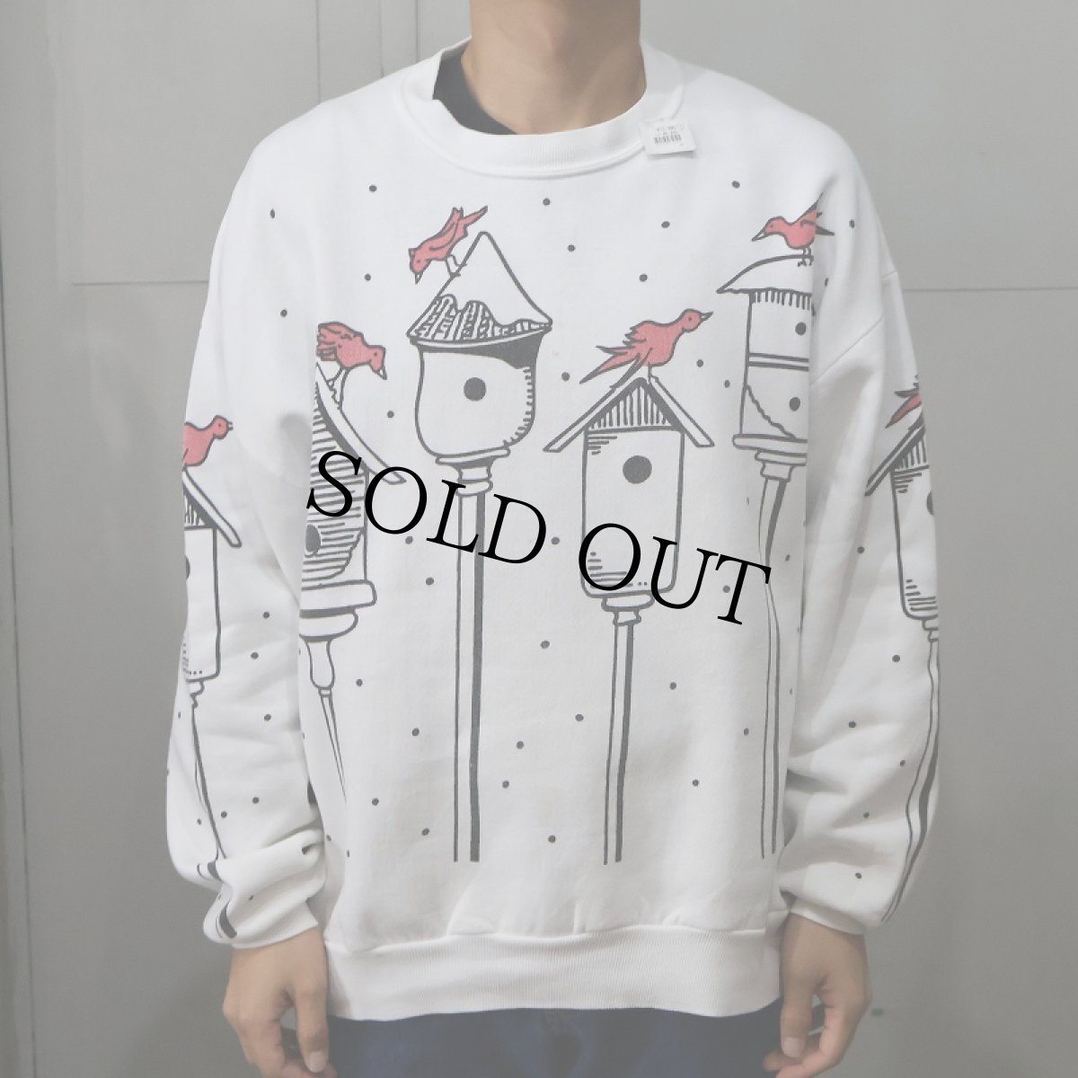 画像2: MICHIGAN RAG CO. Bird's nest プリントスウェット (2)