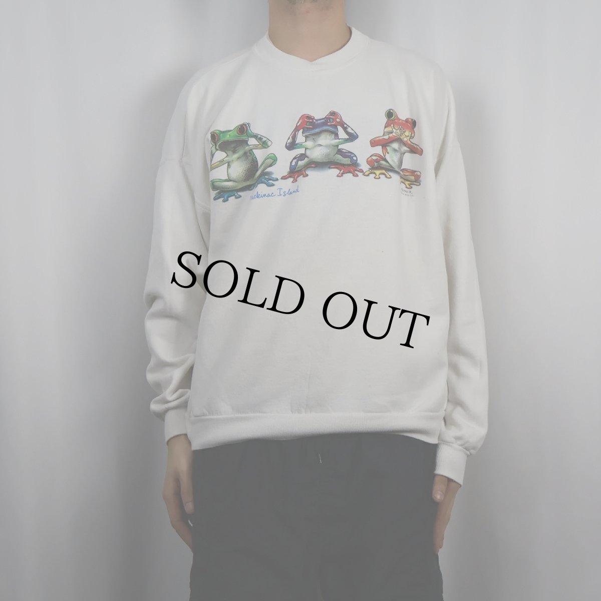 画像2: 90's Royce Dolphin Shirt Co. USA製 カエルイラストプリントスウェット XL (2)