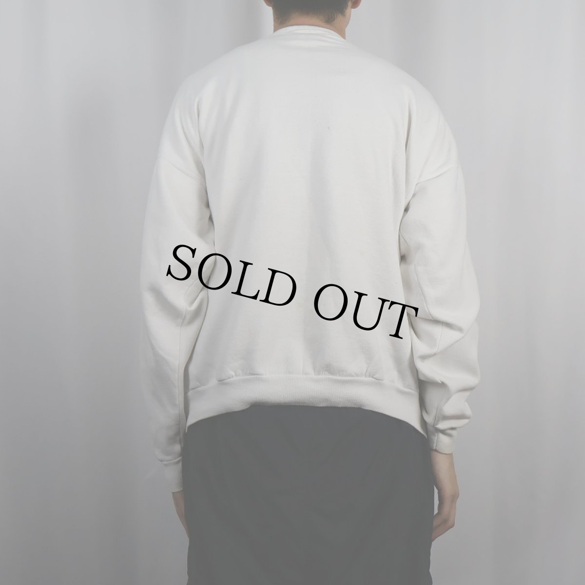 画像3: 90's Royce Dolphin Shirt Co. USA製 カエルイラストプリントスウェット XL (3)