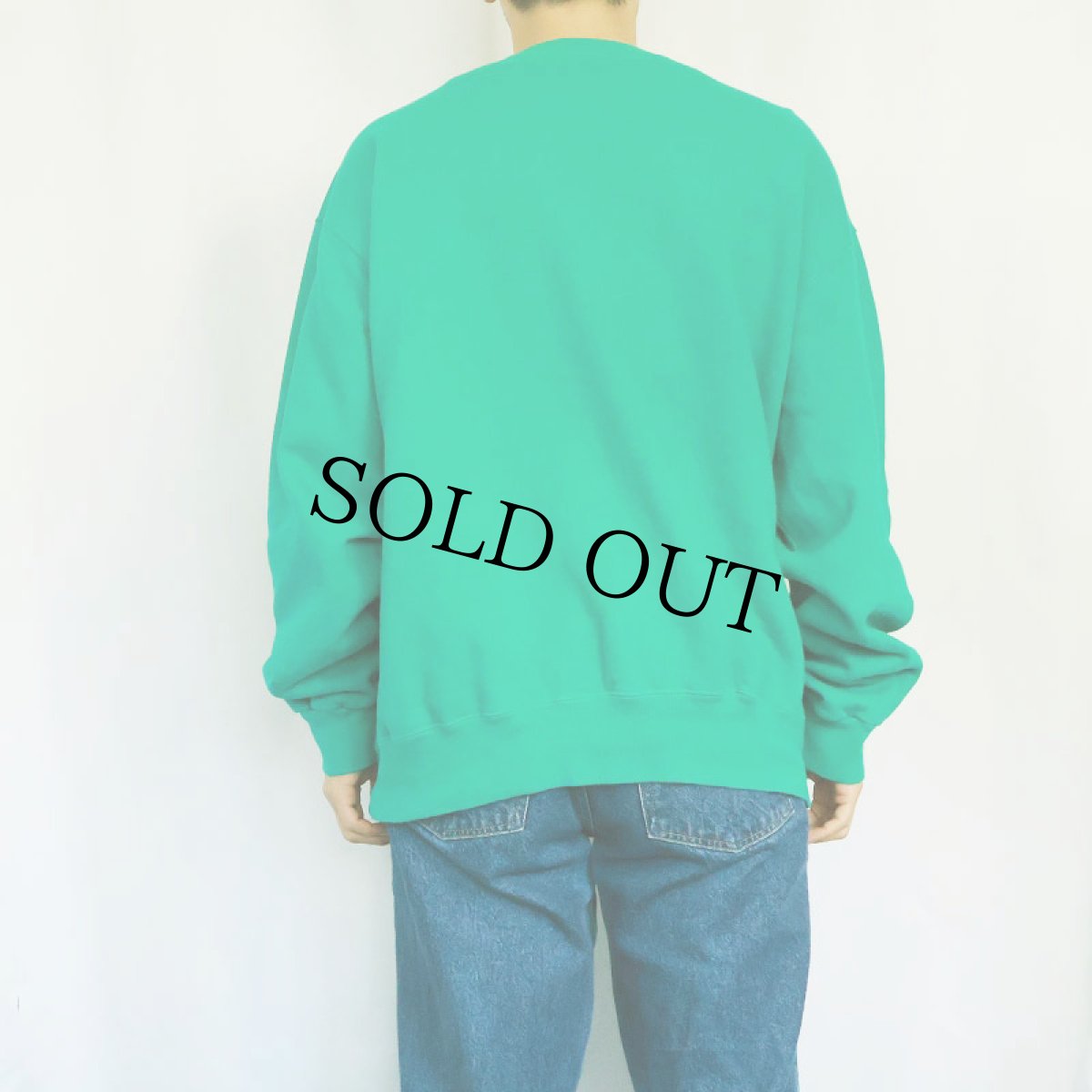 画像3: 80〜90's Champion USA製 青刺繍タグ 後期 前Vスウェット GREEN XL (3)