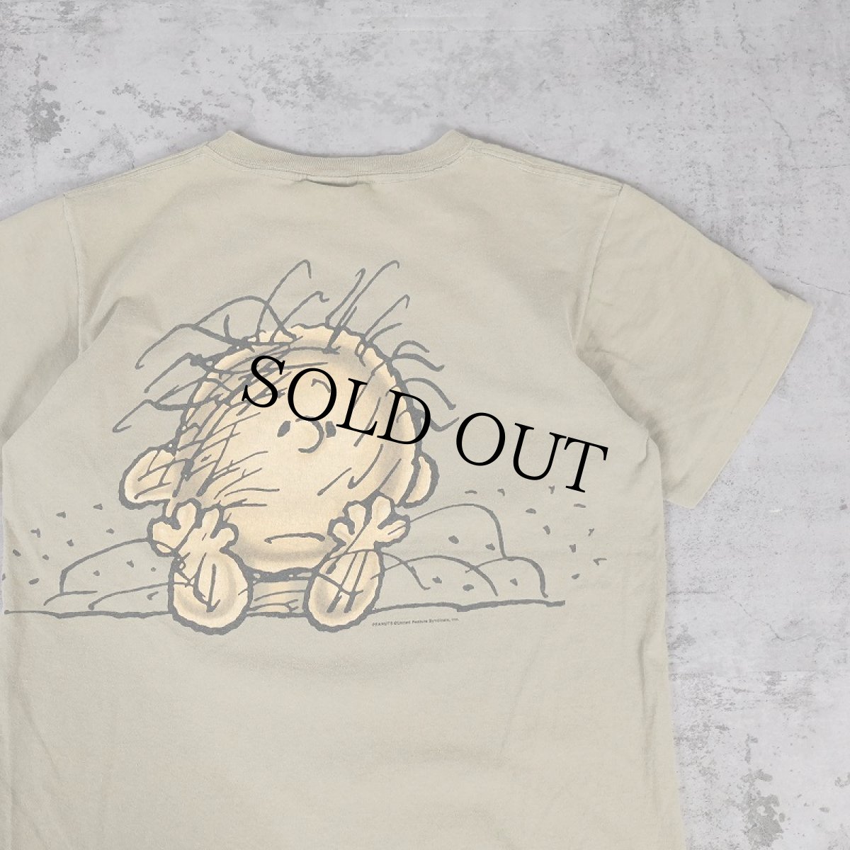 画像1: 90's USA製 PIG PEN "Calvin Klein" パロディプリントTシャツ M (1)