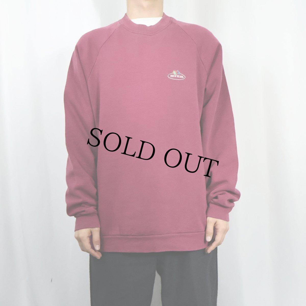 画像2: 90's FRUIT OF THE LOOM ロゴプリントスウェット XL (2)