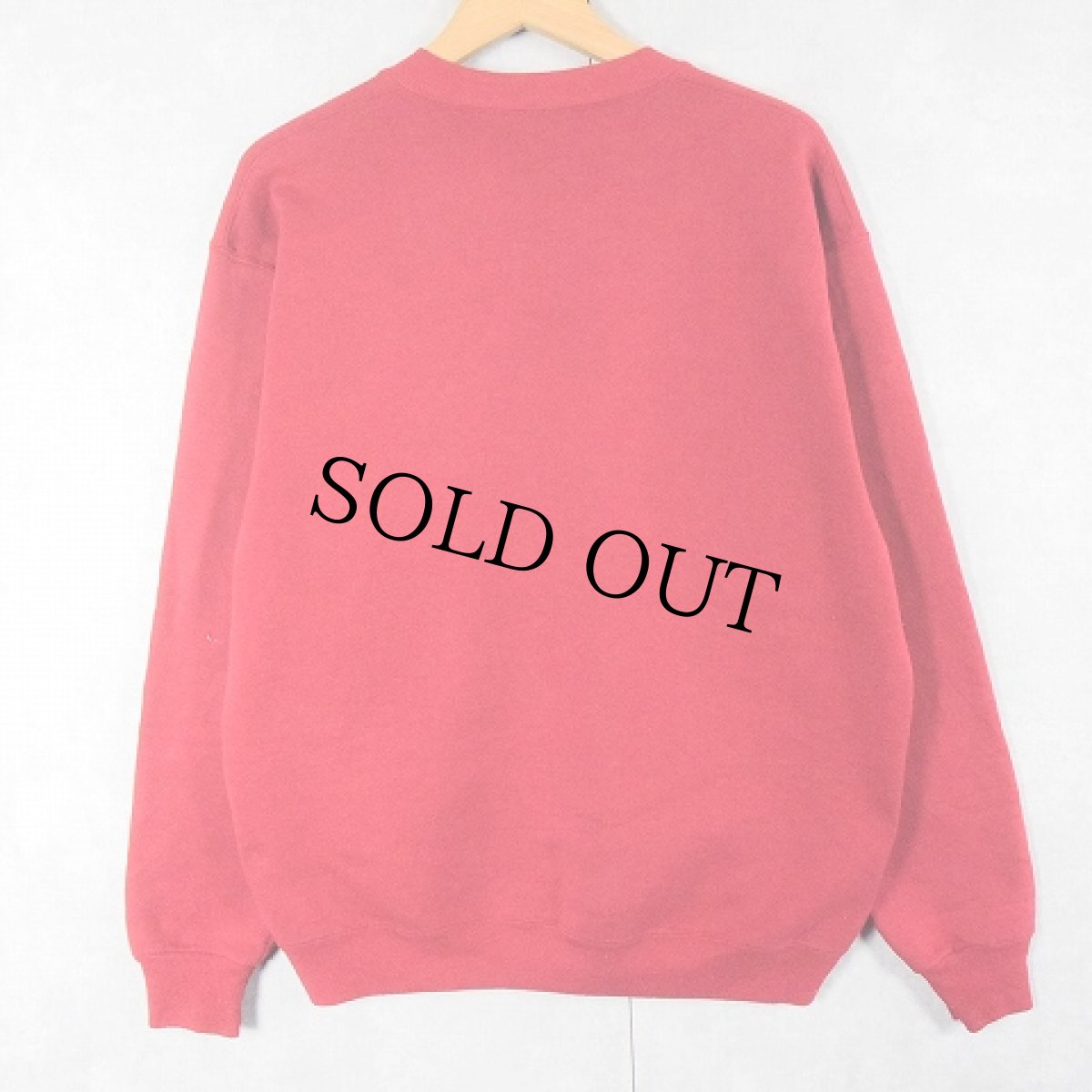 画像2: 90's RUSSELL ATHELETIC USA製 前V 無地スウェット L (2)