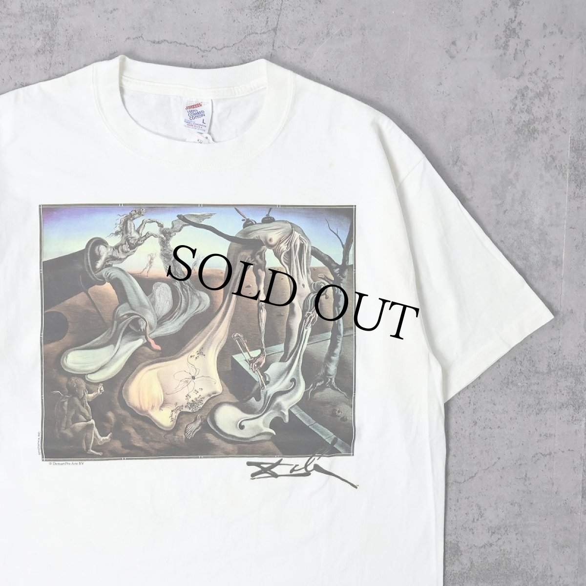 画像1: 90's SALVADOR DALI USA製 "APIDER OF THE EVENING" アートプリントTシャツ DEADSTOCK L (1)