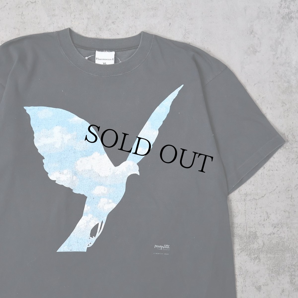 画像1: 90's Rene Magritte "The great family" アートプリントTシャツ XL (1)