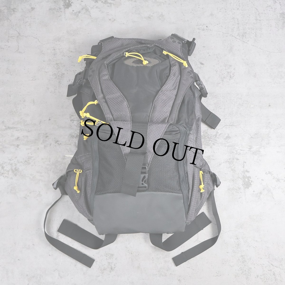 画像1: 【SALE】 OAKLEY バックパック タグ付き未使用 (1)