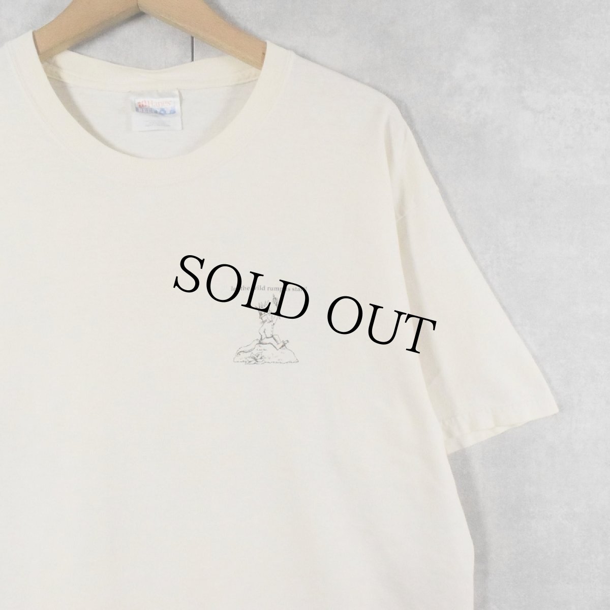 画像2: かいじゅうたちのいるところ 絵本プリントTシャツ L (2)