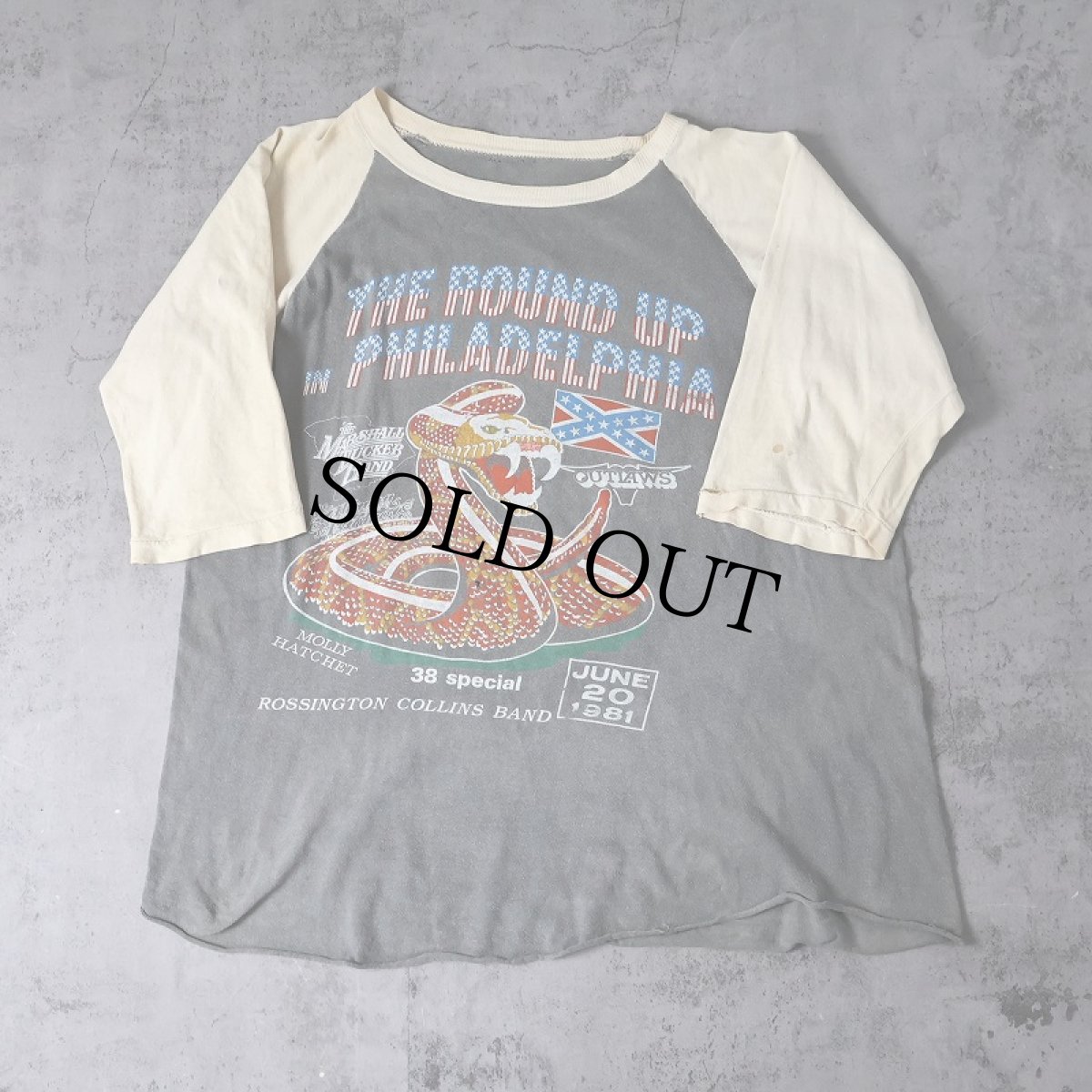 画像1: 80's "THE ROUND UP" パキ綿 ミュージックフェスティバル ラグランTシャツ (1)