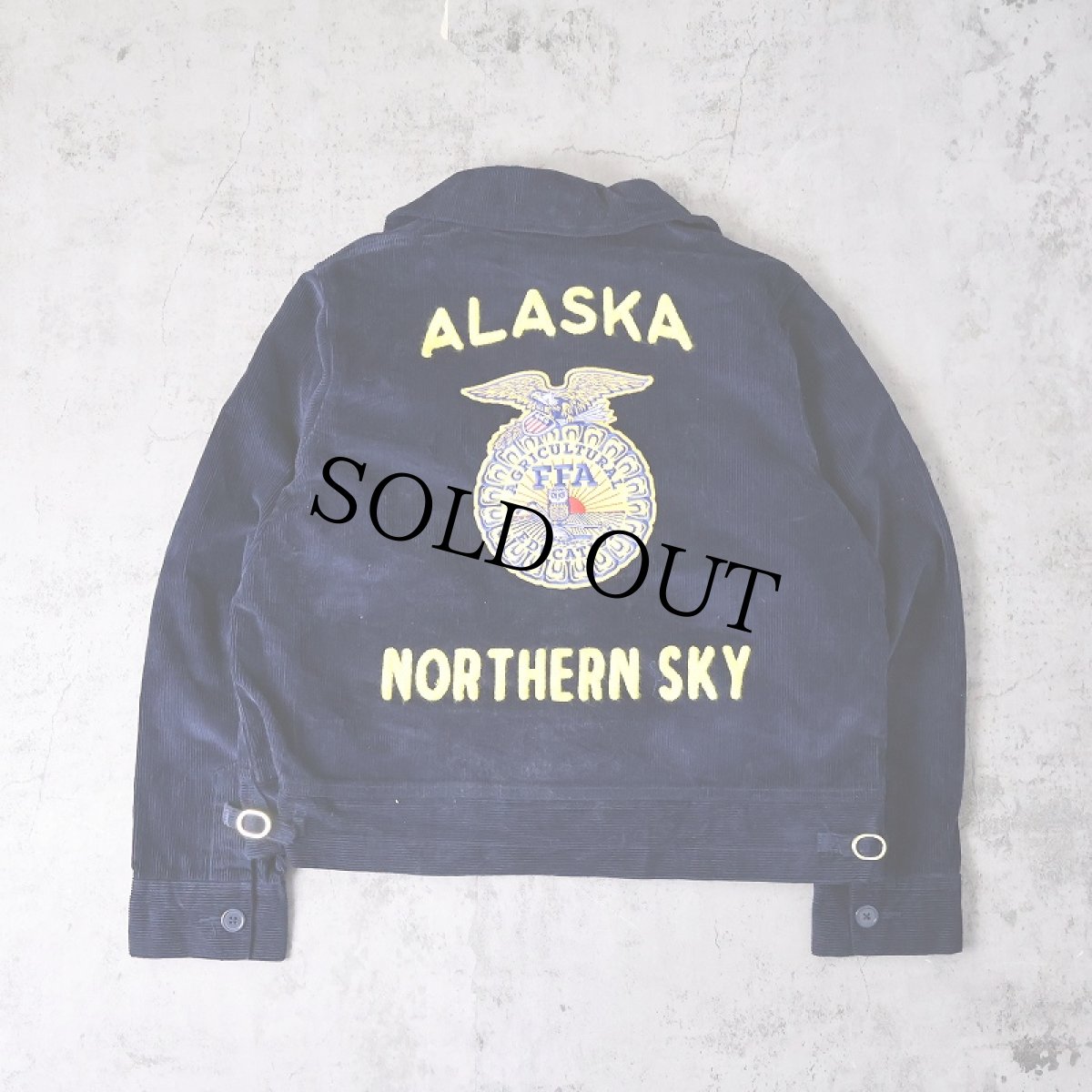 画像1: FFA "ALASKA NORTHERN SKY" ファーマーズコーデュロイジャケット size40 (1)