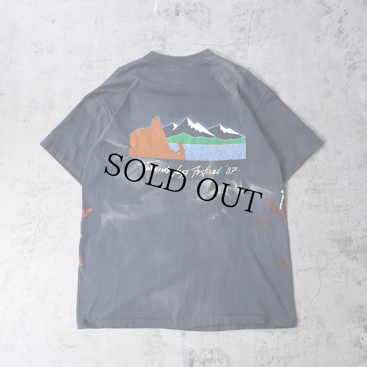 画像2: 80's GRATEFUL DEAD USA製 "Bluegrass Festival" ロックバンドプリントTシャツ L (2)