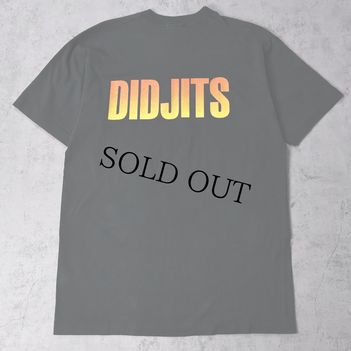 画像2: 90's DIDJITS USA製 パンクロックバンドプリントTシャツ L (2)