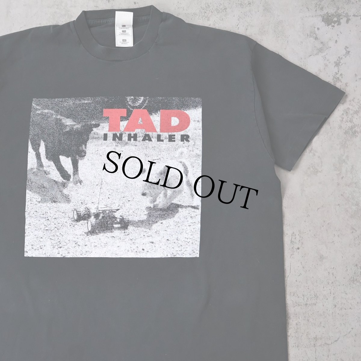 画像1: 90's TAD "INHALER" グランジバンドプリントTシャツ BLACK XXL (1)