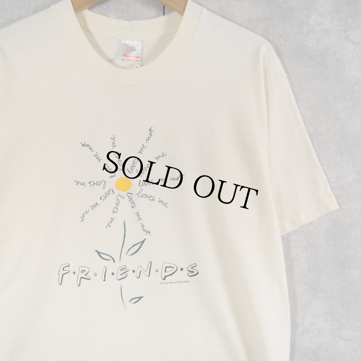 画像1: 90's F・R・I・E・N・D・S USA製 ロゴ刺繍 テレビドラマプリントTシャツ L (1)