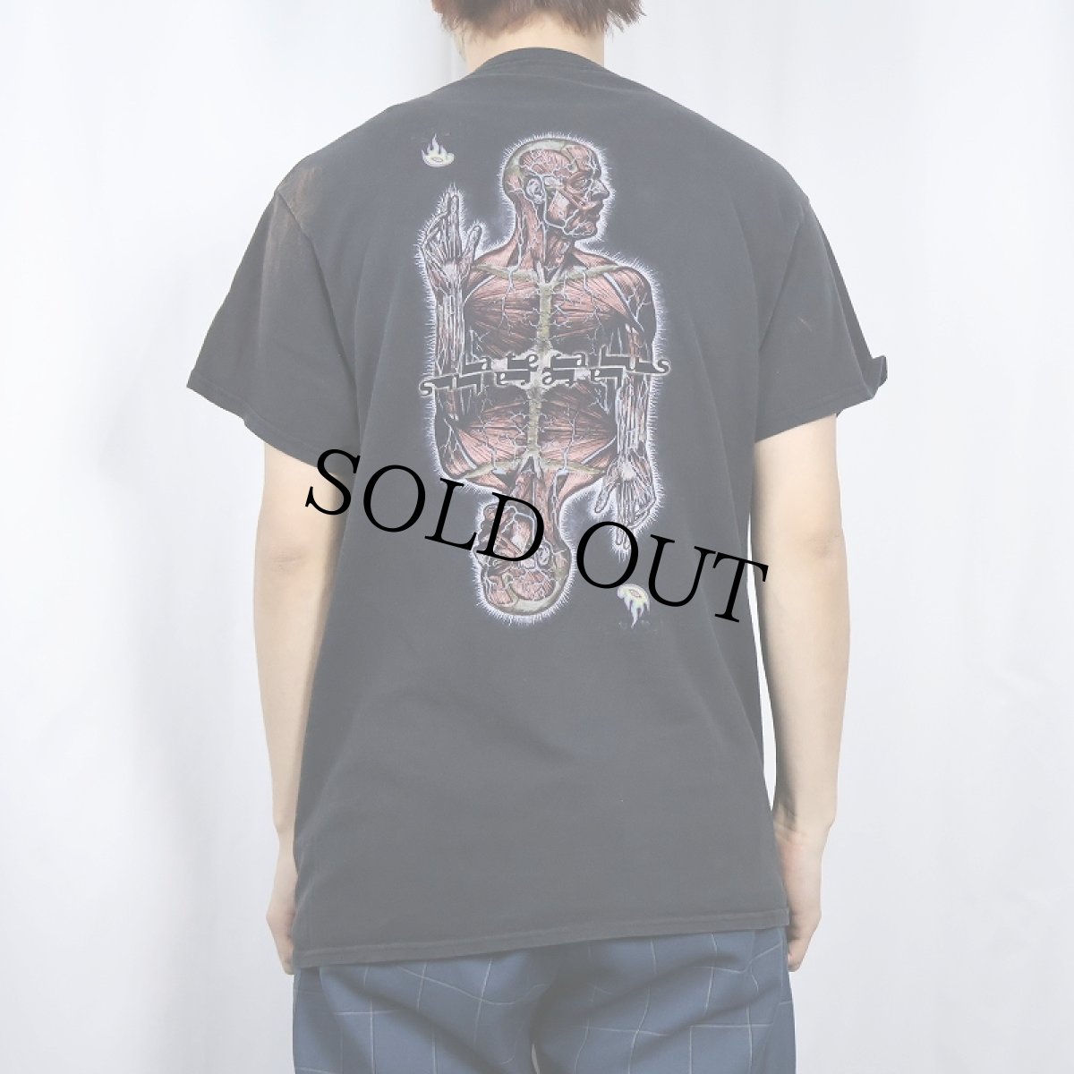 画像4: 2000's TOOL "Lateralus" ロックバンドTシャツ (4)