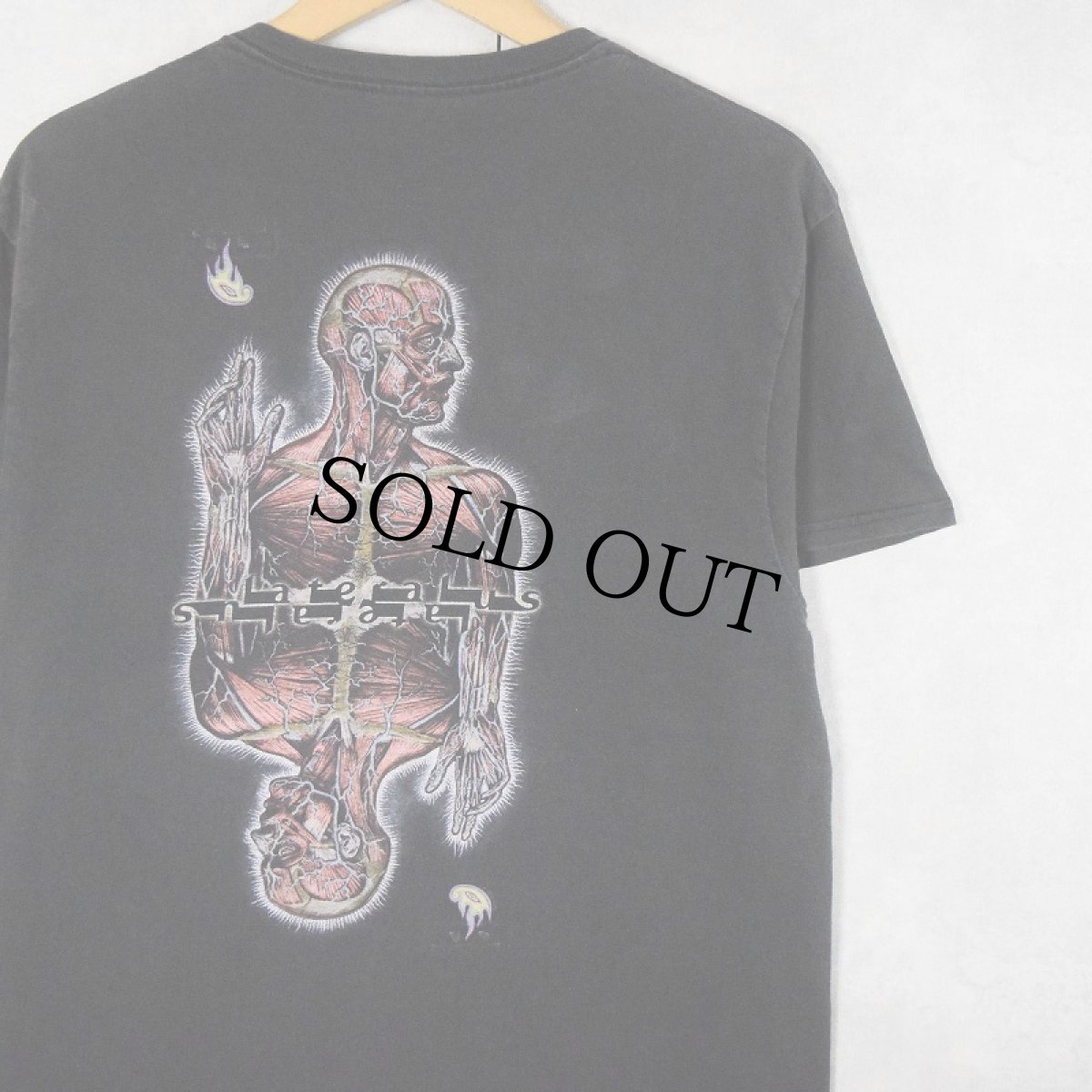 画像1: 2000's TOOL "Lateralus" ロックバンドTシャツ (1)