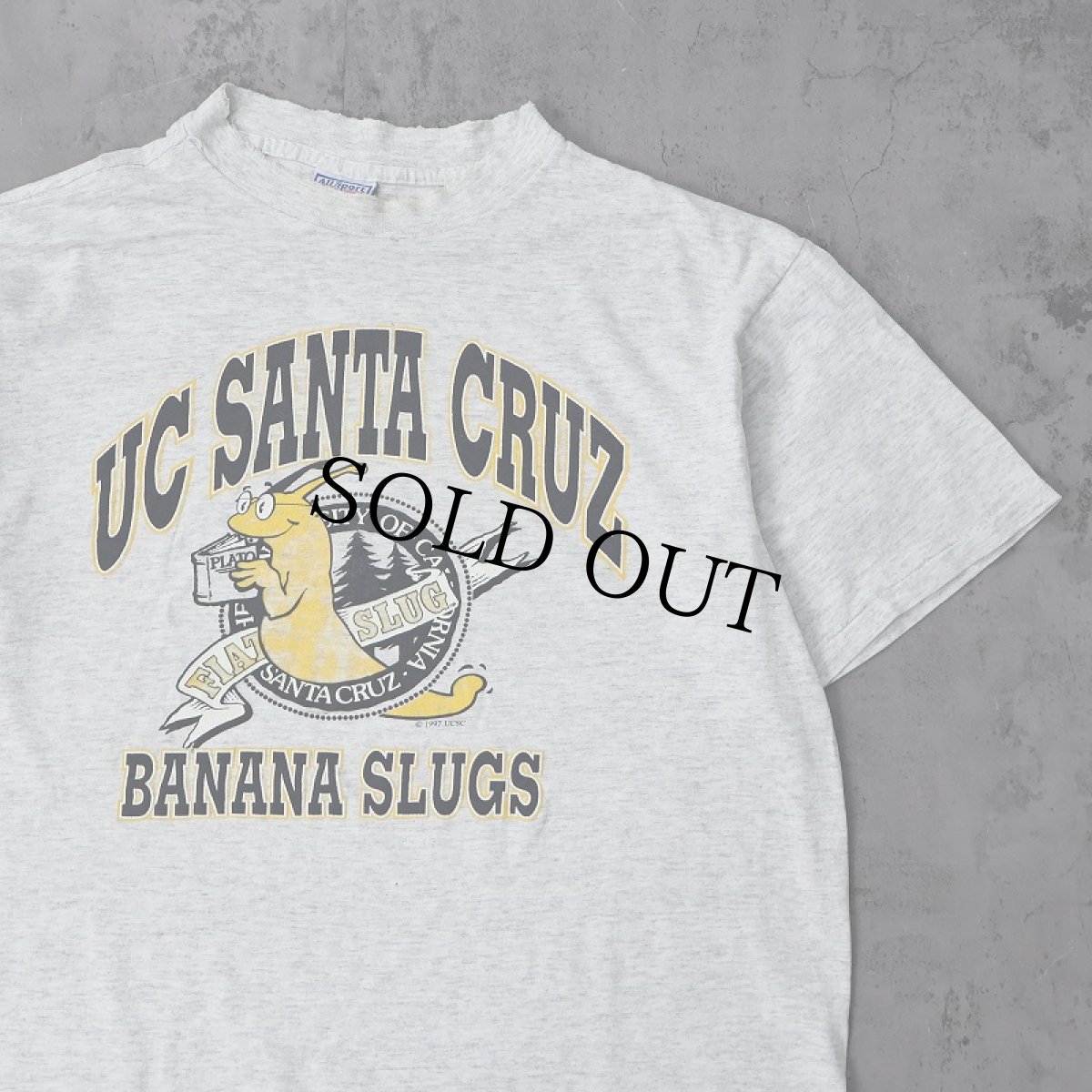 画像1: 90's "UC SANTA CRUZ BANANA SLUGS" USA製 プリントTシャツ XL (1)