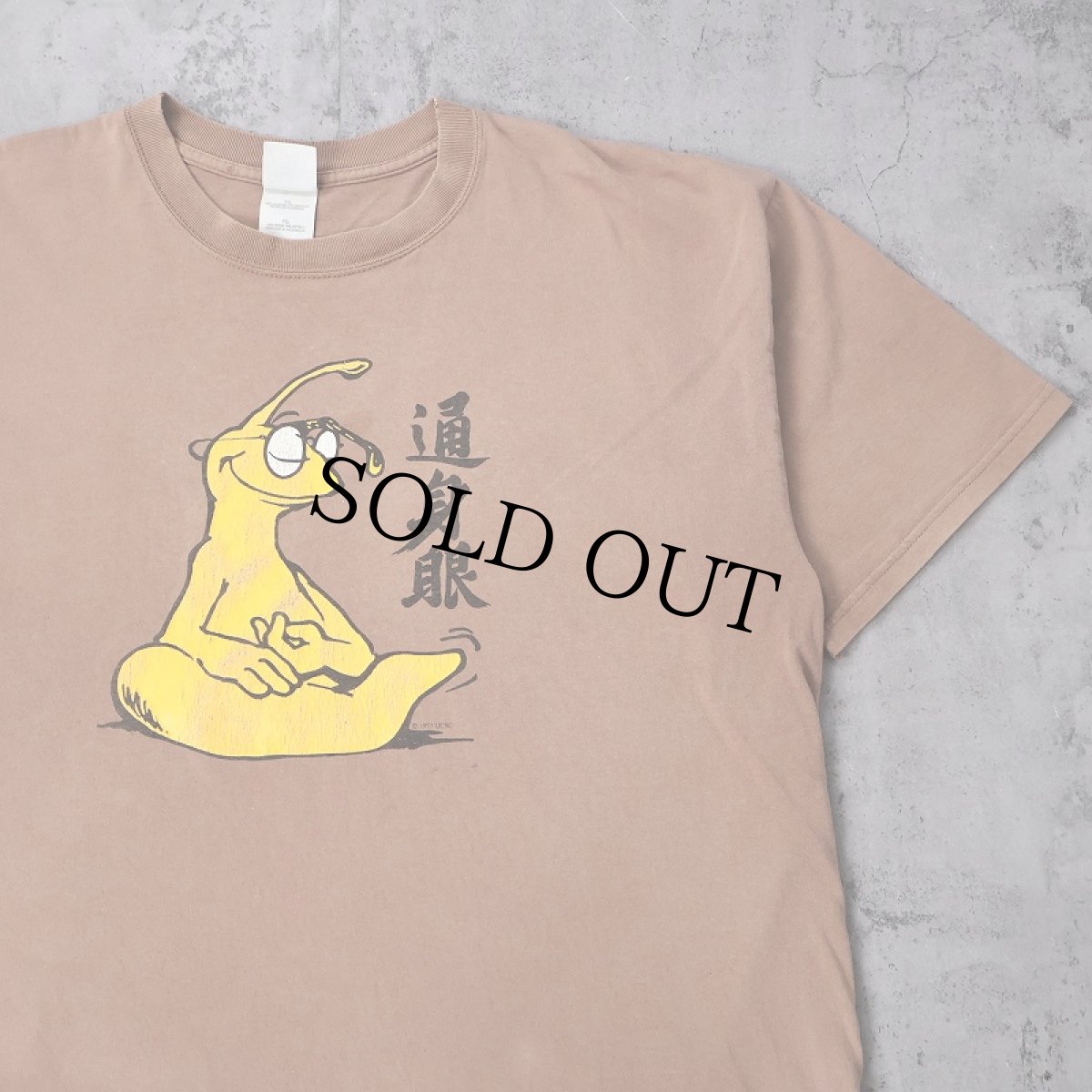 画像1: UC SANTA CRUZ "通身眼" BANANA SLUGS プリントTシャツ XL (1)