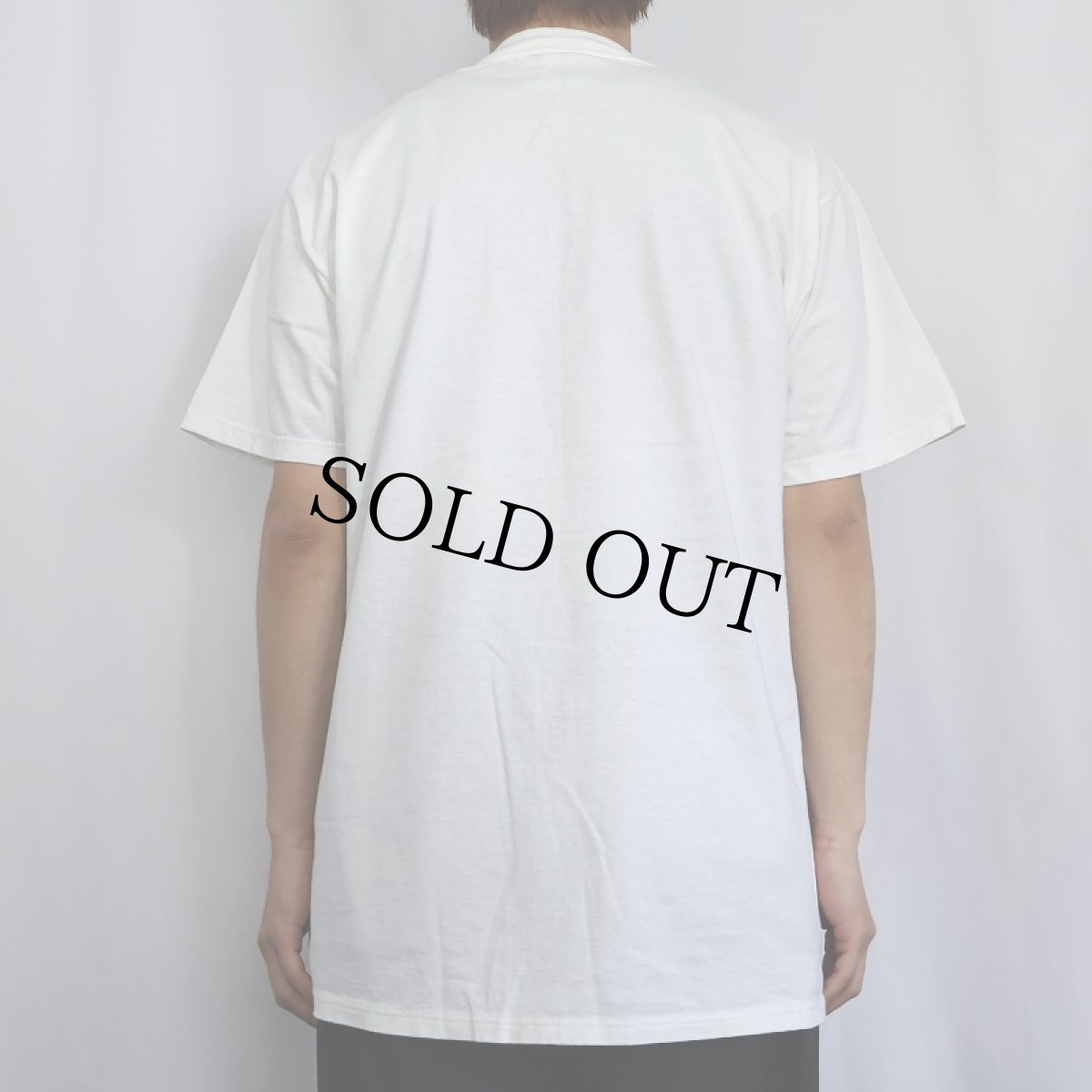 画像3: 90's GRIMMY USA製 "PSST... TRUST ME ON THIS... DON'T EAT THE CHIPS." シュールイラストプリントTシャツ L (3)