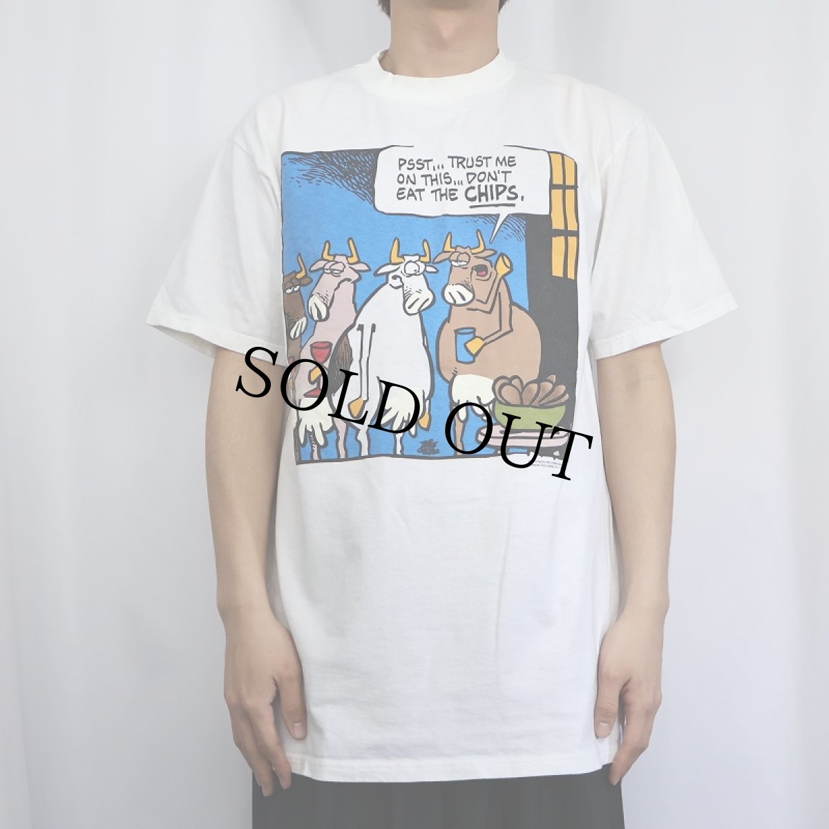 画像2: 90's GRIMMY USA製 "PSST... TRUST ME ON THIS... DON'T EAT THE CHIPS." シュールイラストプリントTシャツ L (2)