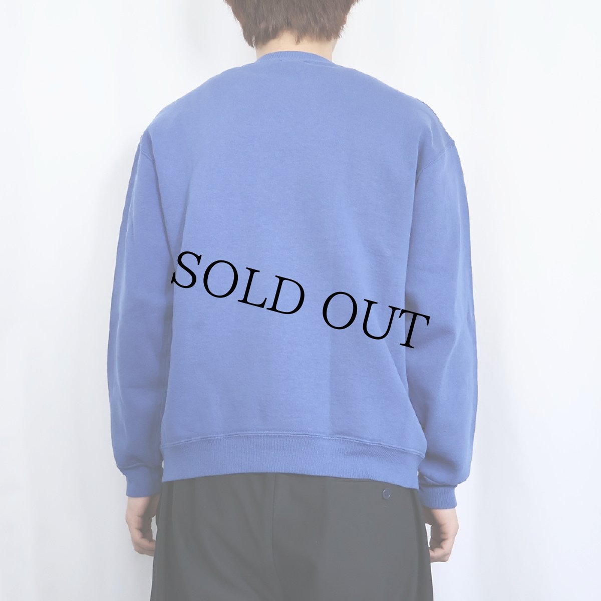 画像3: 90's RUSSELL ATHLETIC USA製 前V 無地スウェット L (3)