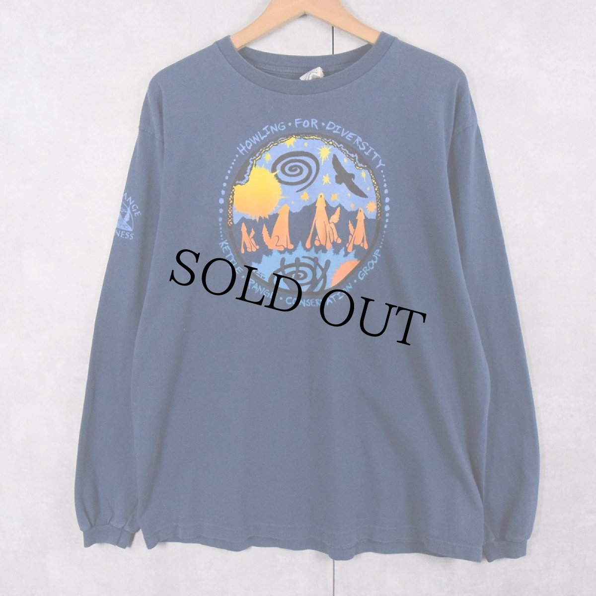 画像1: 90's patagonia USA製 "Beneficial T's" プリントロンT NAVY M (1)