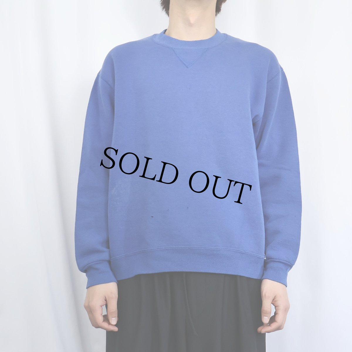 画像2: 90's RUSSELL ATHLETIC USA製 前V 無地スウェット L (2)