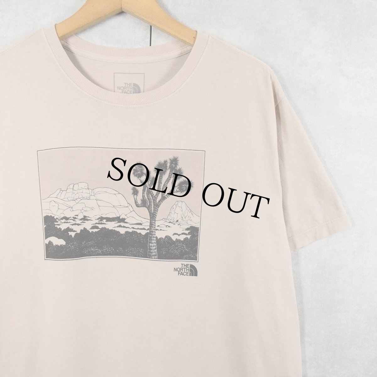 画像1: Patagonia プリントTシャツ XL (1)