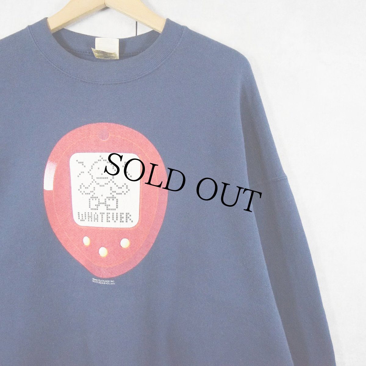 画像1: VIRTUAL PESTS "WHATEVER" プリントスウェット NAVY XL (1)