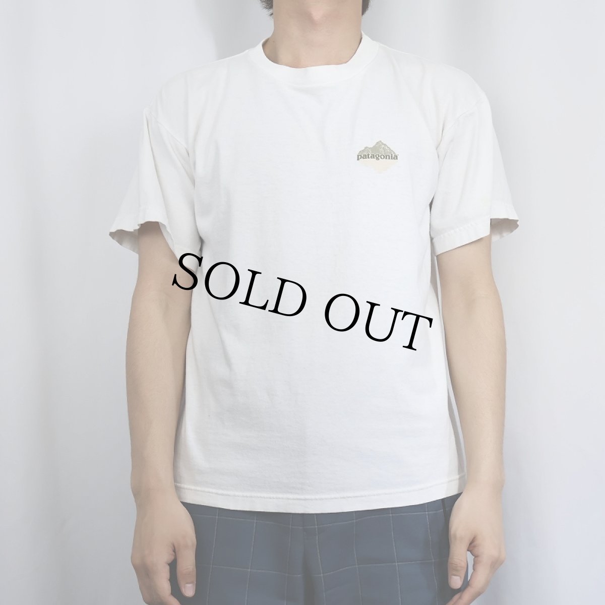 画像2: 90's Patagonia USA製 ロゴプリントTシャツ S (2)