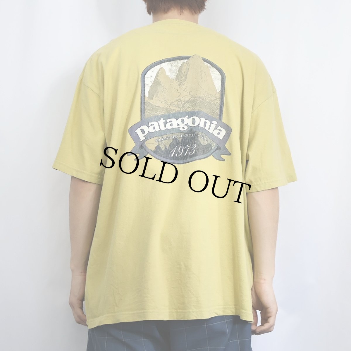 画像3: 2000's Patagonia バックプリントTシャツ L (3)