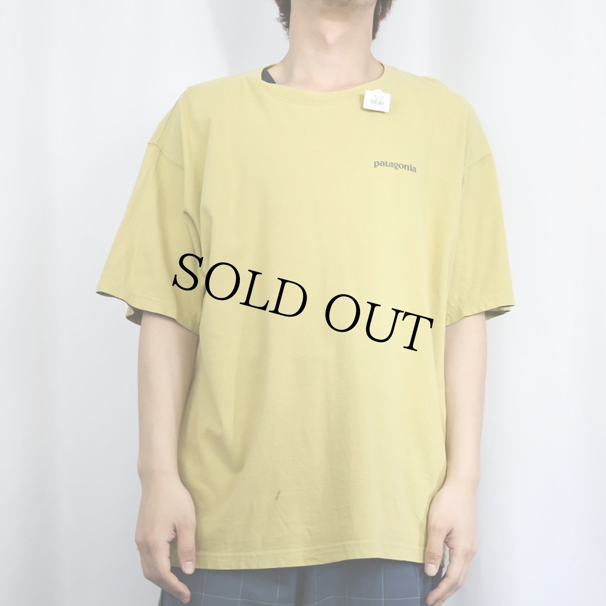 画像2: 2000's Patagonia バックプリントTシャツ L (2)