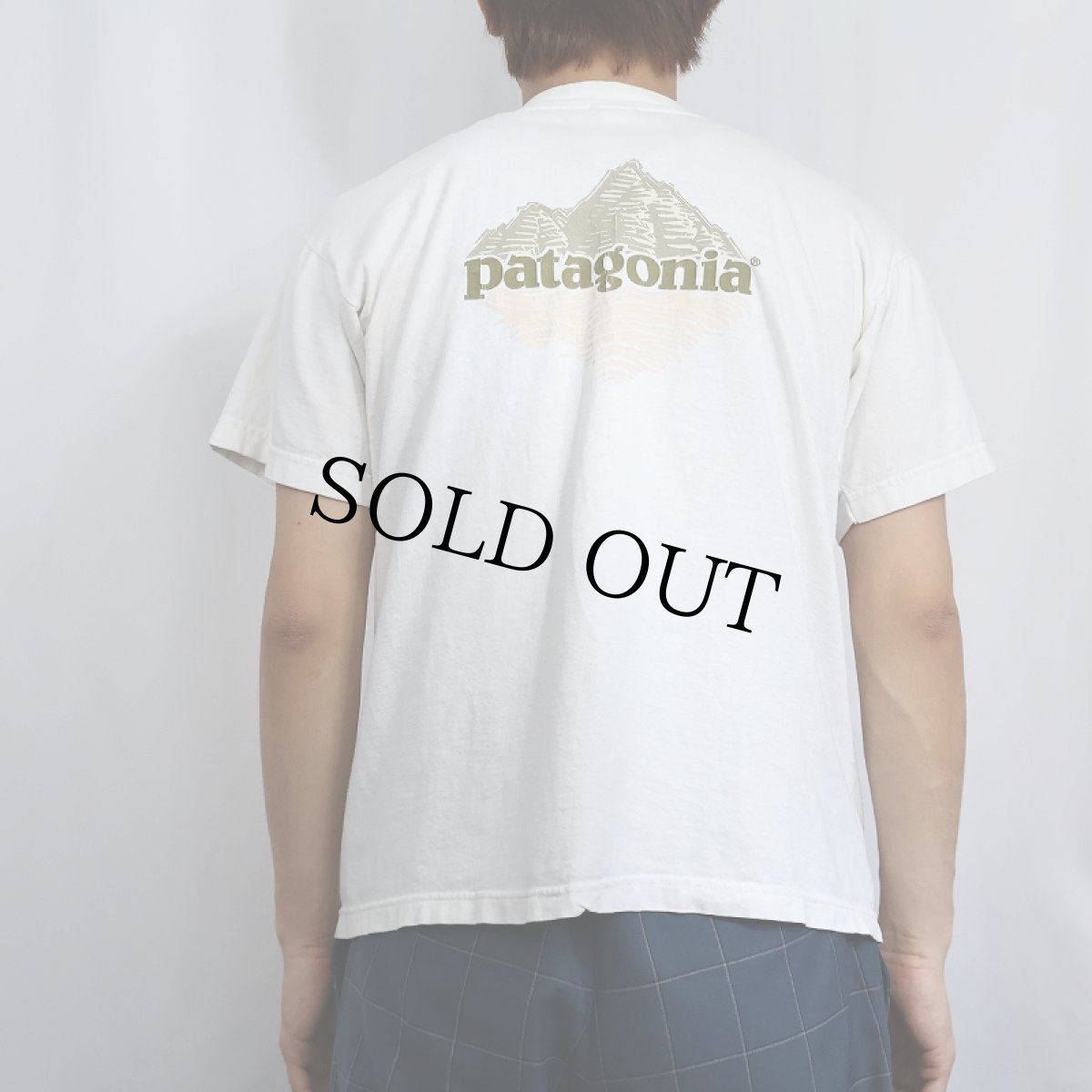 画像3: 90's Patagonia USA製 ロゴプリントTシャツ S (3)